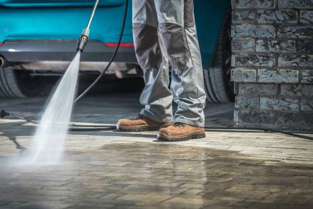 Best Driveway Pressure Washing  in Montrose, PA